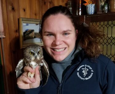 Coastal Rivers Pet Hospital Dr. Sereda with owl