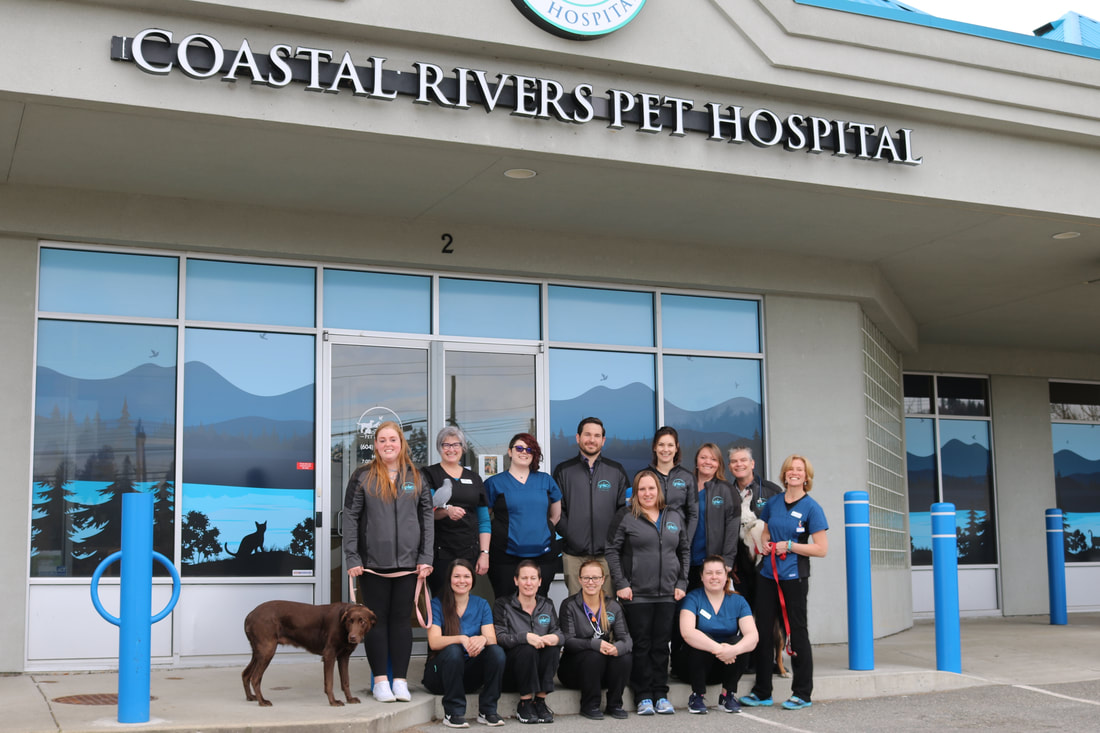 Coastal Rivers Pet Hospital staff
